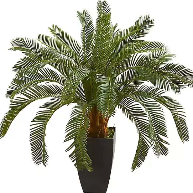 Trees & Topiaries>Kirklands Home Cycas Floor Plant in Tall Black Planter, 30 in.