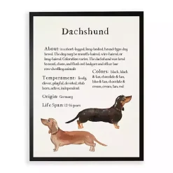 Kirklands Home Dachshund Facts Framed Wall Plaque Best