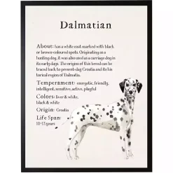 Kirklands Home Dalmation Facts Framed Wall Plaque Outlet