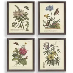 Kirklands Home Day Butterfly Blooms Framed Art Prints, Set of 4 Sale