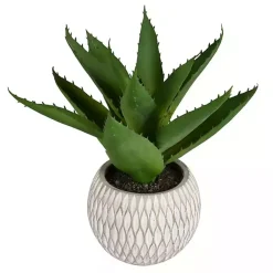 Arrangements & Greenery>Kirklands Home Deep Aloe Leaves in Ceramic Container Green