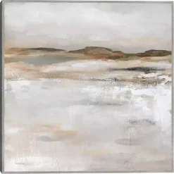Kirklands Home Desert Floor Framed Canvas Art Print Gray Hot