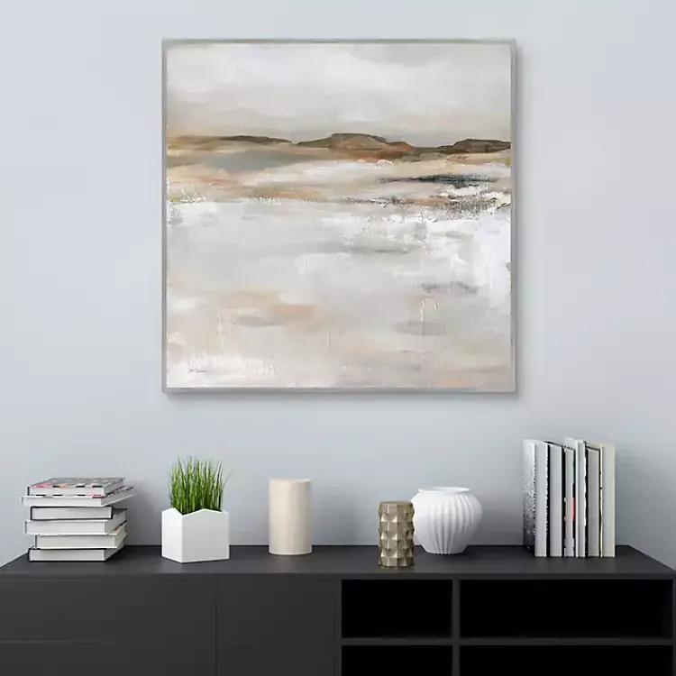 Kirklands Home Desert Floor Framed Canvas Art Print Gray Hot
