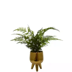 Arrangements & Greenery>Kirklands Home Desktop Palm Plant in Gold Planter