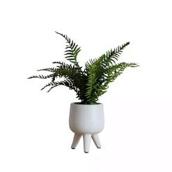 Arrangements & Greenery>Kirklands Home Desktop Palm Plant in White Planter