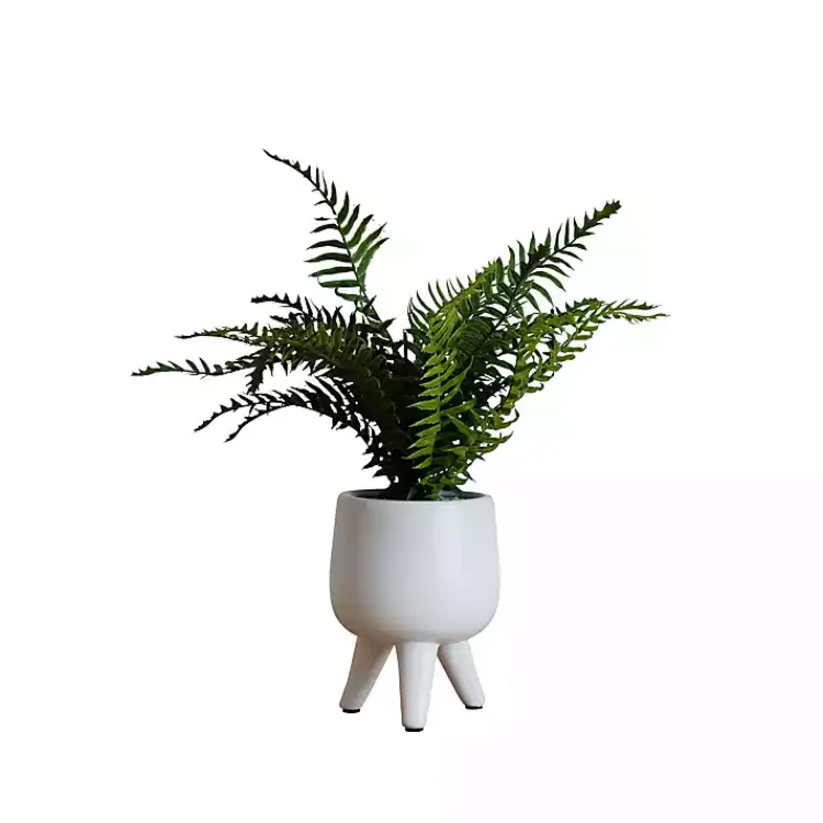 Arrangements & Greenery>Kirklands Home Desktop Palm Plant in White Planter