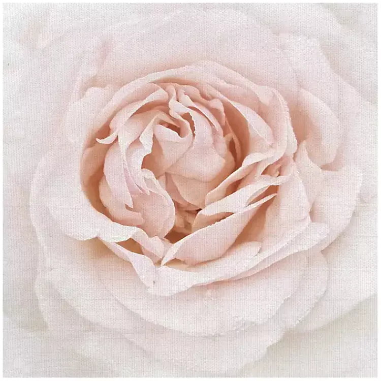 Kirklands Home Dewdrop Rose Canvas Art Print Pink Best