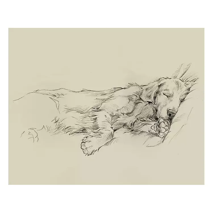 Kirklands Home Dog Days III Canvas Art Print Sale
