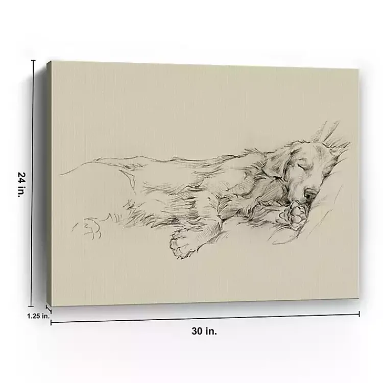 Kirklands Home Dog Days III Canvas Art Print Sale