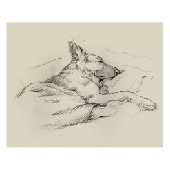 Kirklands Home Dog Days IV Canvas Art Print New
