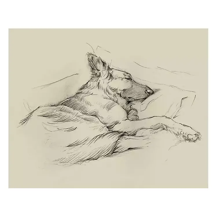 Kirklands Home Dog Days IV Canvas Art Print New