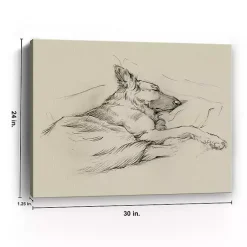Kirklands Home Dog Days IV Canvas Art Print New
