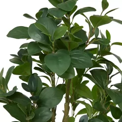 Trees & Topiaries><noscript><img width=