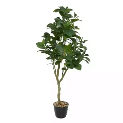 Trees & Topiaries><noscript><img width=