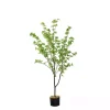 Trees & Topiaries>Kirklands Home Douban Tree in Black Pot, 5 ft.