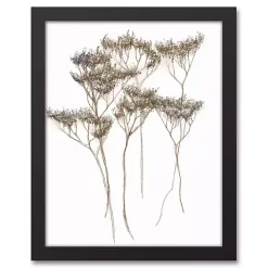 Kirklands Home Dried Florals 4-pc. Framed Canvas Art Print Set White New