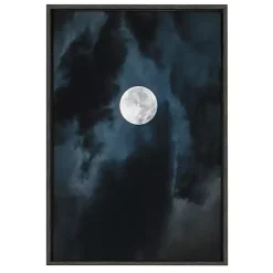 Kirklands Home Driftless Moon Framed Canvas Art Print