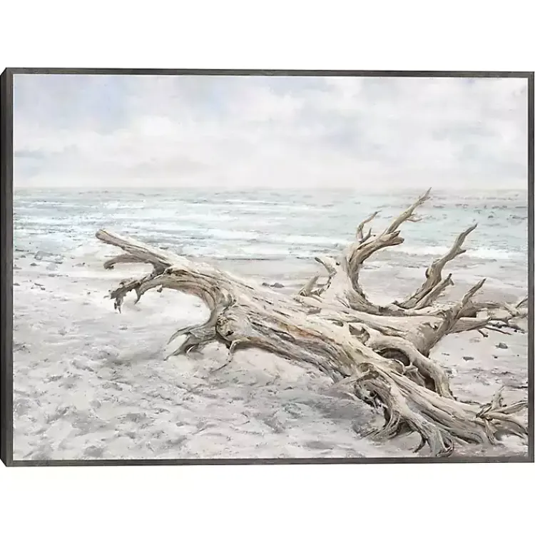 Kirklands Home Driftwood On The Beach Framed Canvas Art Print Multi New
