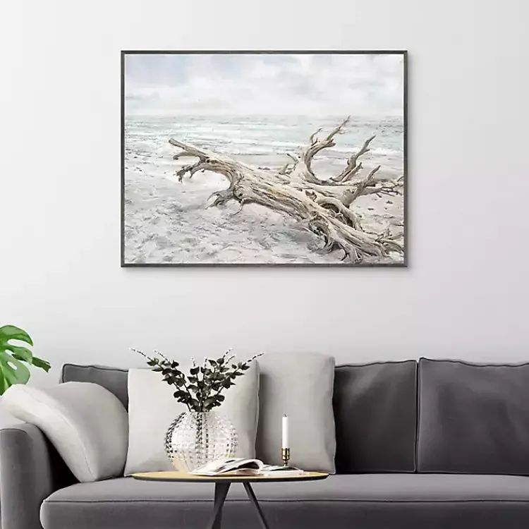 Kirklands Home Driftwood On The Beach Framed Canvas Art Print Multi New