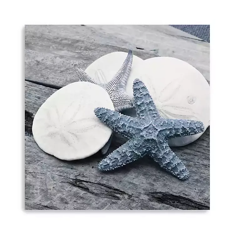 Kirklands Home Driftwood Shell IV Canvas Art Print, 30x30 in.