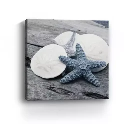 Kirklands Home Driftwood Shell IV Canvas Art Print, 30x30 in.