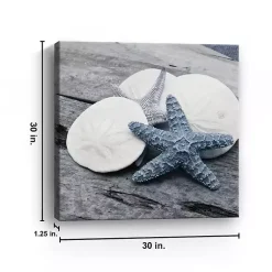 Kirklands Home Driftwood Shell IV Canvas Art Print, 30x30 in.