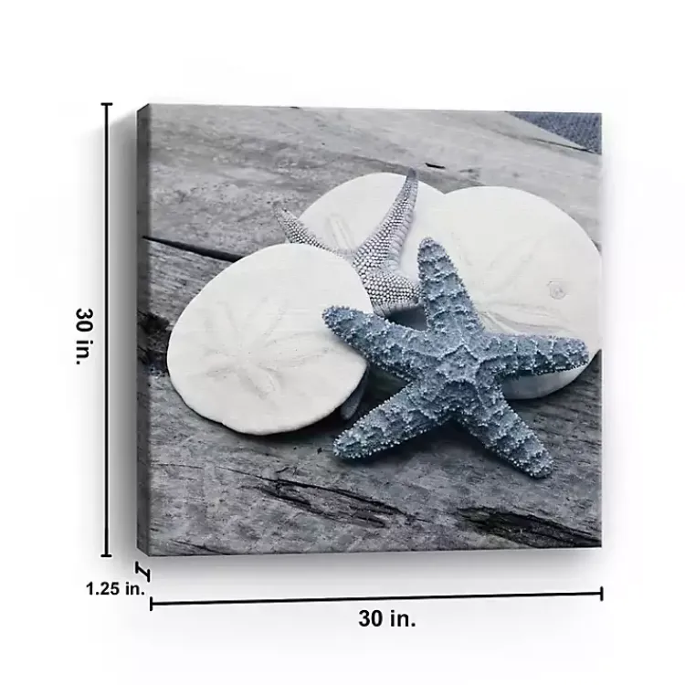 Kirklands Home Driftwood Shell IV Canvas Art Print, 30x30 in.