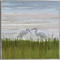 Kirklands Home Egret Meeting Framed Canvas Art Print Multi New