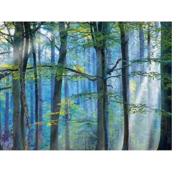 Kirklands Home Enchanted Forest Canvas Print by Lars Van De Goor New