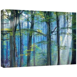 Kirklands Home Enchanted Forest Canvas Print by Lars Van De Goor New