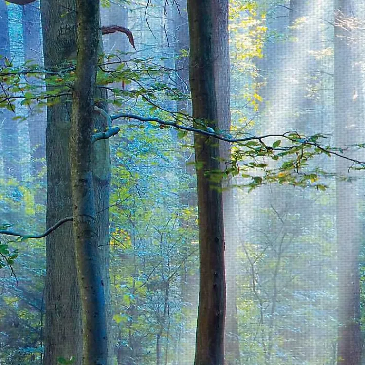 Kirklands Home Enchanted Forest Canvas Print by Lars Van De Goor New