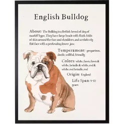 Kirklands Home English Bulldog Facts Framed Wall Plaque Sale