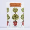 Sachets>Kirklands Home English Ivy Sachet