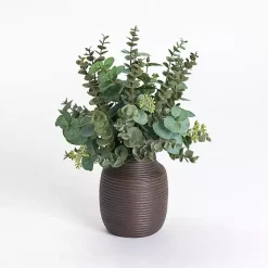 Arrangements & Greenery>Kirklands Home Eucalyptus Arrangement in Chocolate Vase Green