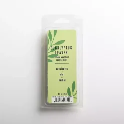 Home Fragrance>Kirklands Home Eucalyptus Leaves Wax Melts