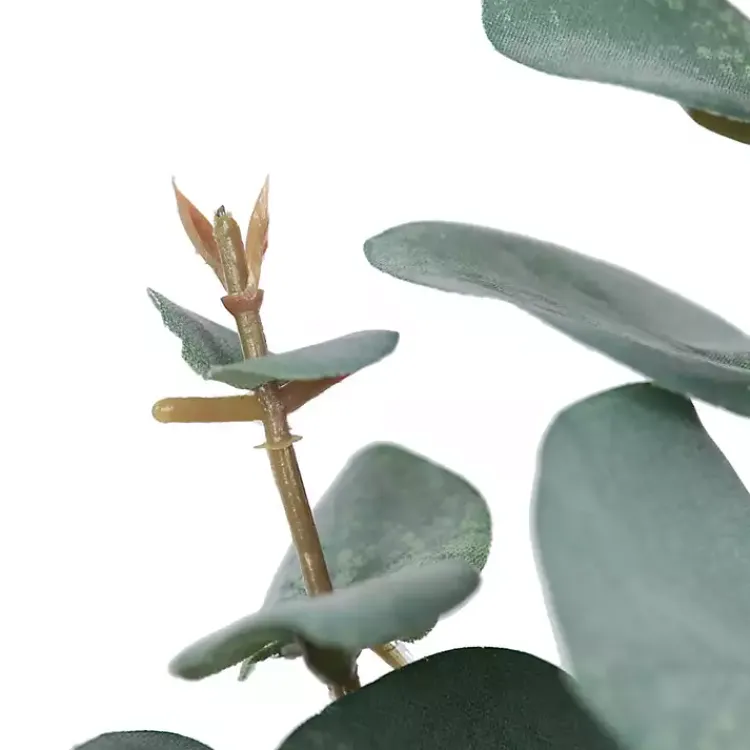 Stems & Bouquets>Kirklands Home Eucalyptus Sprays, Set of 3 Green