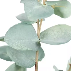 Stems & Bouquets><noscript><img width=
