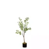 Trees & Topiaries>Kirklands Home Eucalyptus Tree in Black Pot, 4 ft.