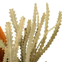 Stems & Bouquets><noscript><img width=