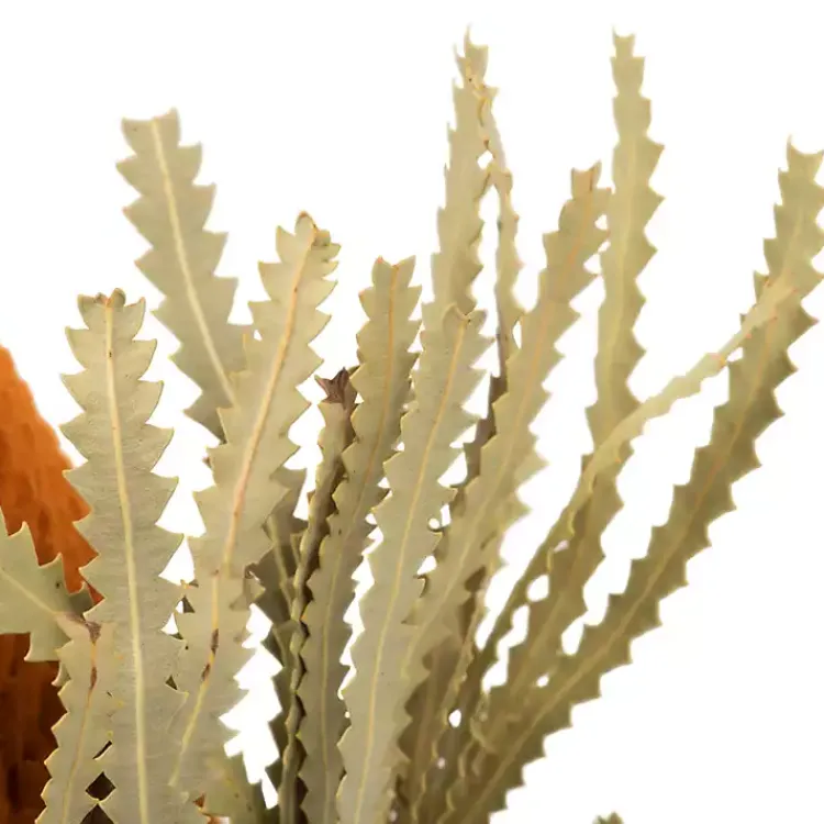 Stems & Bouquets>Kirklands Home Fall Dried Jumbo Banksia Stems, Set of 3 Orange