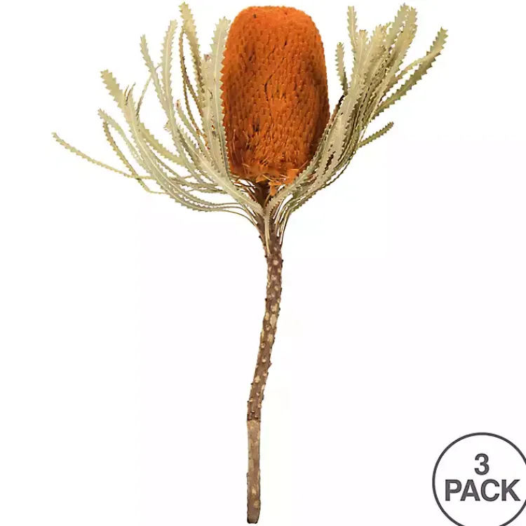 Stems & Bouquets>Kirklands Home Fall Dried Jumbo Banksia Stems, Set of 3 Orange