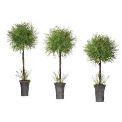 Trees & Topiaries>Kirklands Home Feather Fern Topiaries, Set of 3