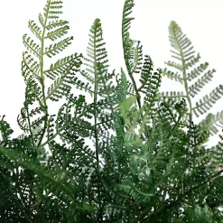 Arrangements & Greenery><noscript><img width=