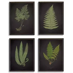 Kirklands Home Fern Framed Art Prints, Set of 4 Discount