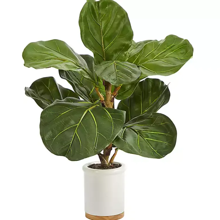 Trees & Topiaries>Kirklands Home Fiddle Leaf Fig in White Ceramic Planter, 21 in.