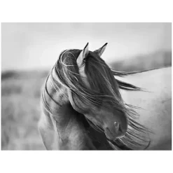 Kirklands Home Fierce Grace Canvas Art Print New