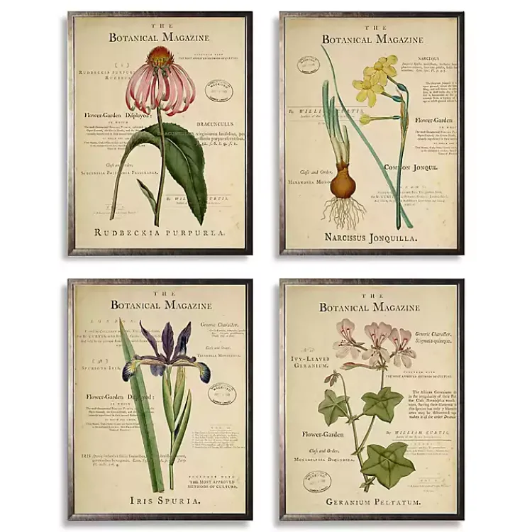 Kirklands Home Flower Magazine Framed Art Prints, Set of 4