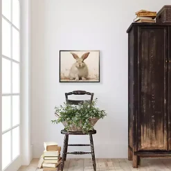 Easter Decorations>Kirklands Home Fluffy Bunny Framed Art Print