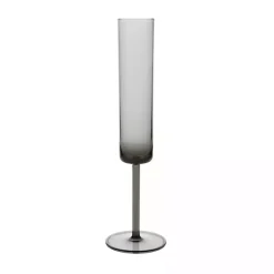 Kirklands Home Fortessa Urbo Champagne Flutes, Set of 6 Gray Hot