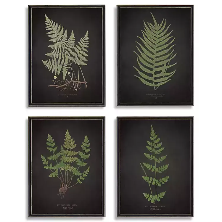 Kirklands Home Four Ferns Framed Art Prints, Set of 4 Discount